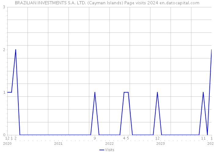 BRAZILIAN INVESTMENTS S.A. LTD. (Cayman Islands) Page visits 2024 