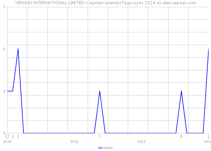 VERNON INTERNATIONAL LIMITED (Cayman Islands) Page visits 2024 