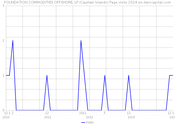 FOUNDATION COMMODITIES OFFSHORE, LP (Cayman Islands) Page visits 2024 