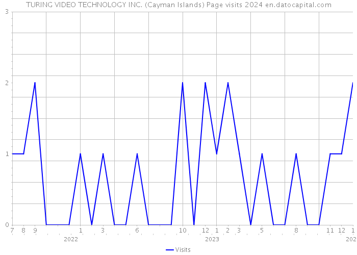 TURING VIDEO TECHNOLOGY INC. (Cayman Islands) Page visits 2024 