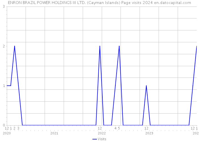 ENRON BRAZIL POWER HOLDINGS III LTD. (Cayman Islands) Page visits 2024 