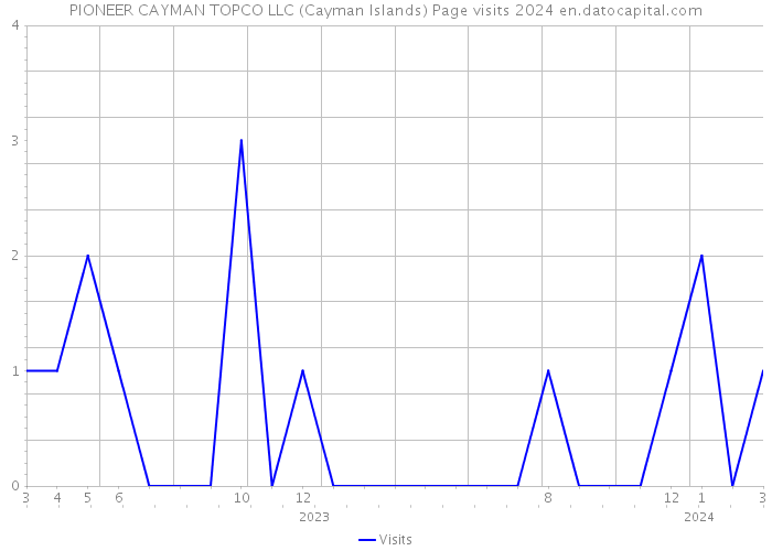 PIONEER CAYMAN TOPCO LLC (Cayman Islands) Page visits 2024 