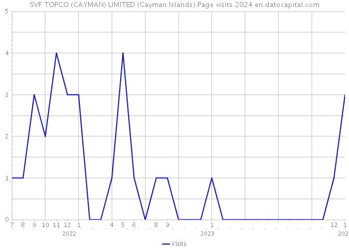 SVF TOPCO (CAYMAN) LIMITED (Cayman Islands) Page visits 2024 