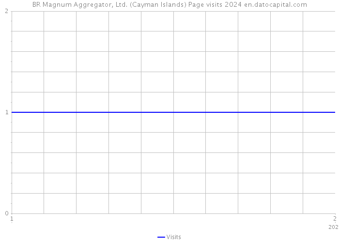 BR Magnum Aggregator, Ltd. (Cayman Islands) Page visits 2024 
