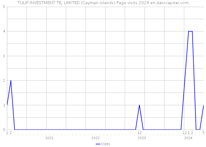 TULIP INVESTMENT TE, LIMITED (Cayman Islands) Page visits 2024 
