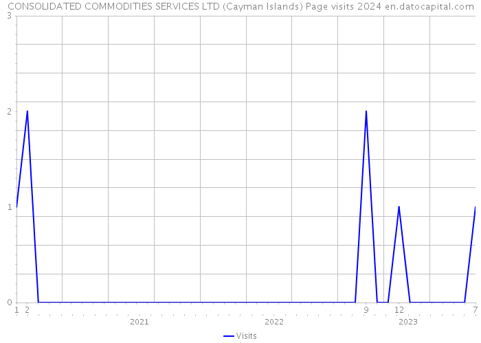 CONSOLIDATED COMMODITIES SERVICES LTD (Cayman Islands) Page visits 2024 
