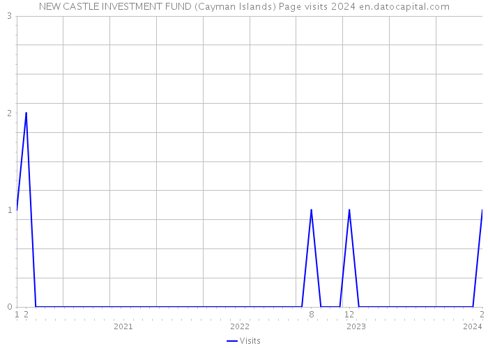 NEW CASTLE INVESTMENT FUND (Cayman Islands) Page visits 2024 