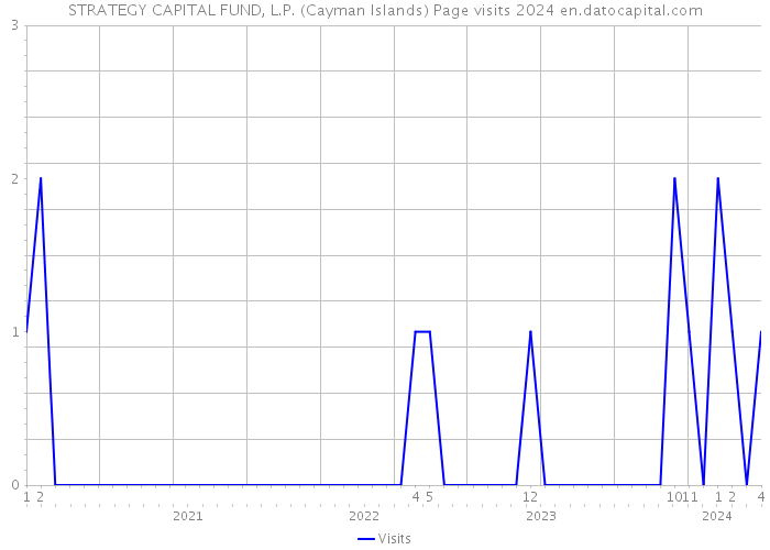 STRATEGY CAPITAL FUND, L.P. (Cayman Islands) Page visits 2024 
