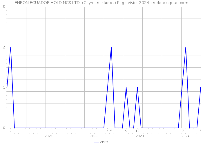 ENRON ECUADOR HOLDINGS LTD. (Cayman Islands) Page visits 2024 