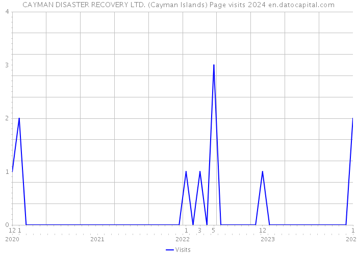 CAYMAN DISASTER RECOVERY LTD. (Cayman Islands) Page visits 2024 