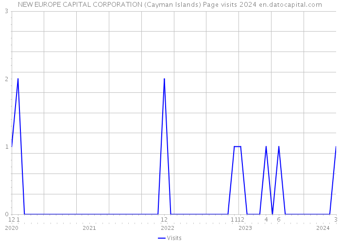 NEW EUROPE CAPITAL CORPORATION (Cayman Islands) Page visits 2024 