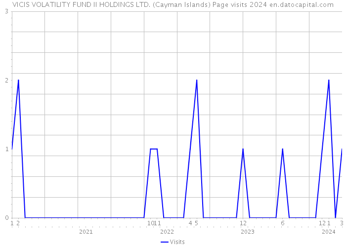 VICIS VOLATILITY FUND II HOLDINGS LTD. (Cayman Islands) Page visits 2024 