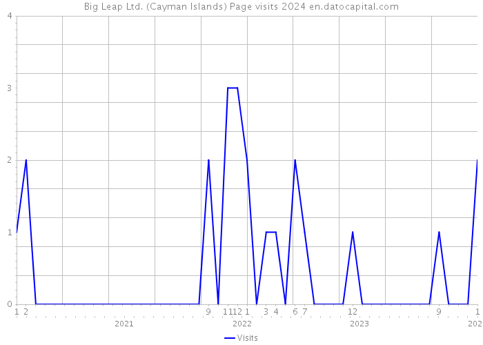 Big Leap Ltd. (Cayman Islands) Page visits 2024 