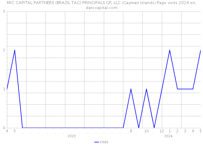 MIC CAPITAL PARTNERS (BRAZIL TAG) PRINCIPALS GP, LLC (Cayman Islands) Page visits 2024 