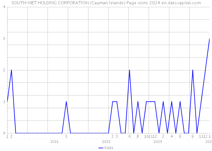 SOUTH-NET HOLDING CORPORATION (Cayman Islands) Page visits 2024 