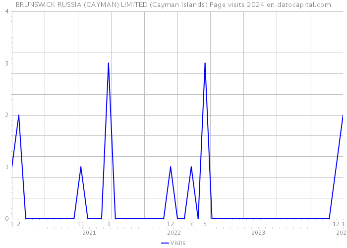 BRUNSWICK RUSSIA (CAYMAN) LIMITED (Cayman Islands) Page visits 2024 