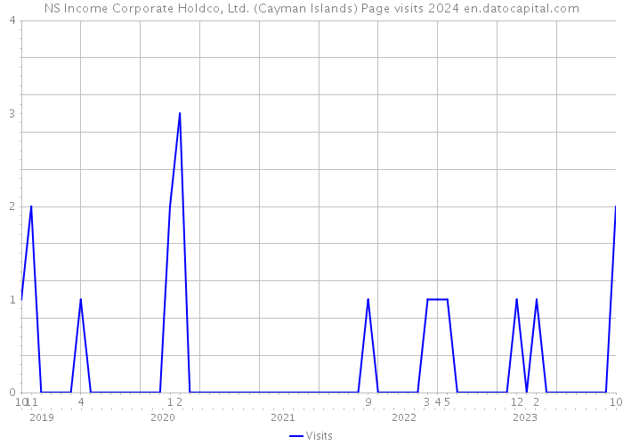 NS Income Corporate Holdco, Ltd. (Cayman Islands) Page visits 2024 