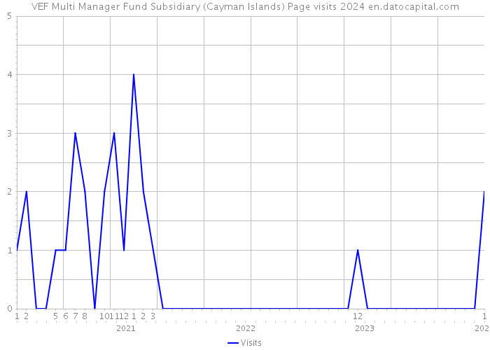 VEF Multi Manager Fund Subsidiary (Cayman Islands) Page visits 2024 