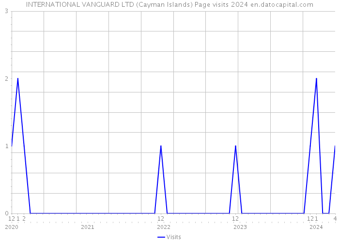 INTERNATIONAL VANGUARD LTD (Cayman Islands) Page visits 2024 
