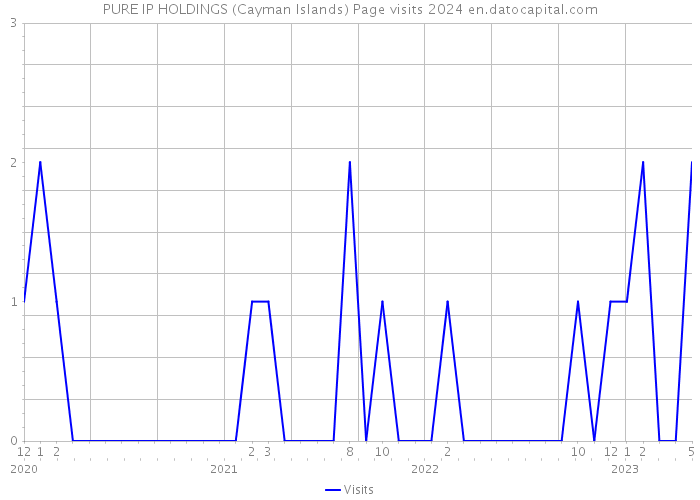 PURE IP HOLDINGS (Cayman Islands) Page visits 2024 