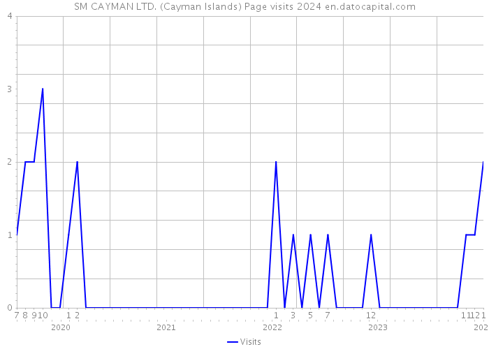 SM CAYMAN LTD. (Cayman Islands) Page visits 2024 