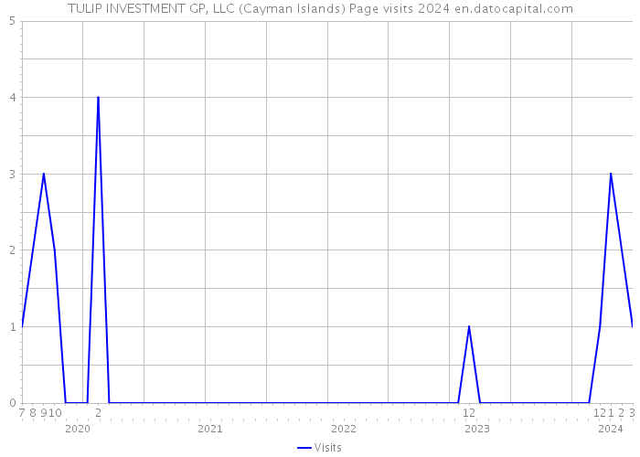 TULIP INVESTMENT GP, LLC (Cayman Islands) Page visits 2024 