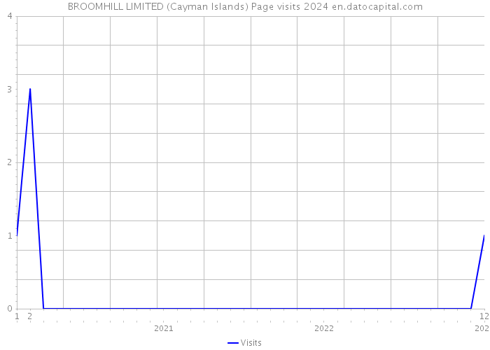 BROOMHILL LIMITED (Cayman Islands) Page visits 2024 