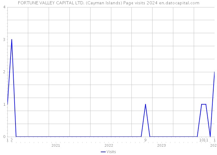 FORTUNE VALLEY CAPITAL LTD. (Cayman Islands) Page visits 2024 