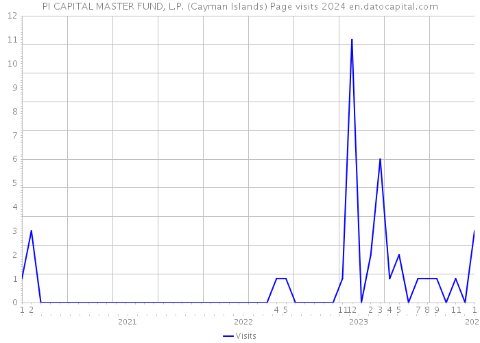 PI CAPITAL MASTER FUND, L.P. (Cayman Islands) Page visits 2024 