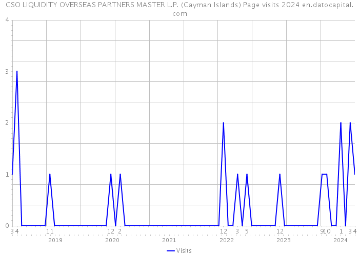 GSO LIQUIDITY OVERSEAS PARTNERS MASTER L.P. (Cayman Islands) Page visits 2024 