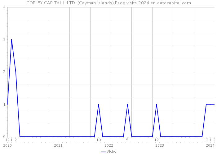 COPLEY CAPITAL II LTD. (Cayman Islands) Page visits 2024 