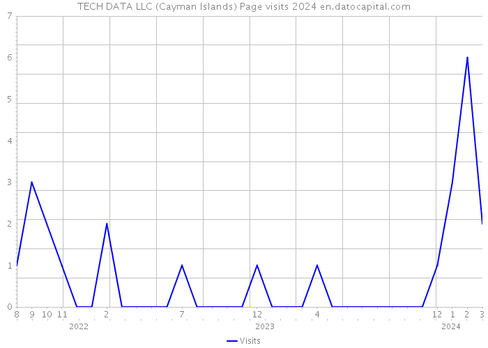 TECH DATA LLC (Cayman Islands) Page visits 2024 