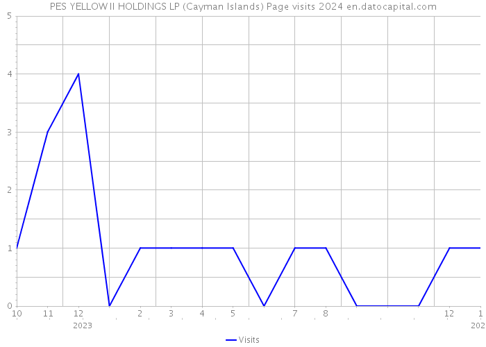 PES YELLOW II HOLDINGS LP (Cayman Islands) Page visits 2024 