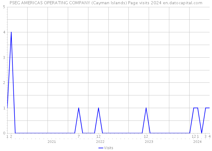 PSEG AMERICAS OPERATING COMPANY (Cayman Islands) Page visits 2024 