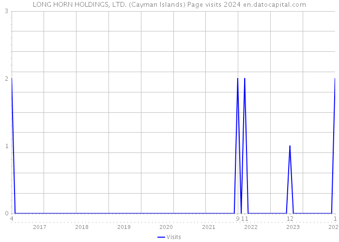 LONG HORN HOLDINGS, LTD. (Cayman Islands) Page visits 2024 