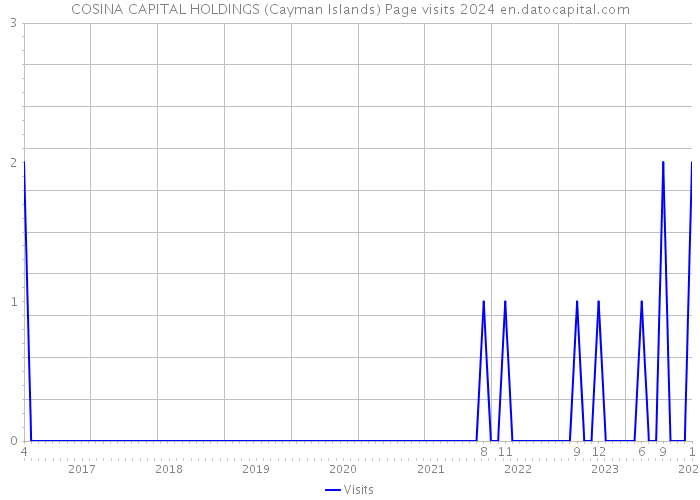 COSINA CAPITAL HOLDINGS (Cayman Islands) Page visits 2024 