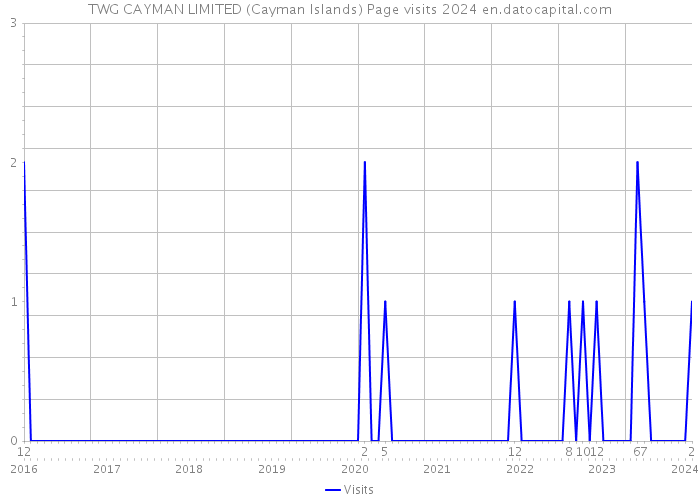 TWG CAYMAN LIMITED (Cayman Islands) Page visits 2024 