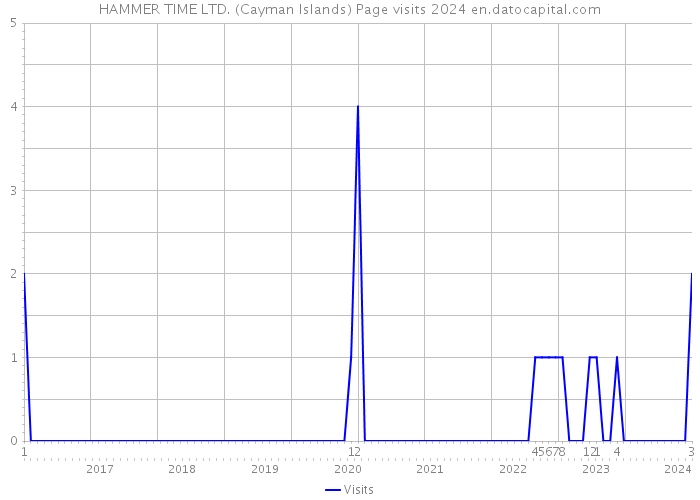 HAMMER TIME LTD. (Cayman Islands) Page visits 2024 