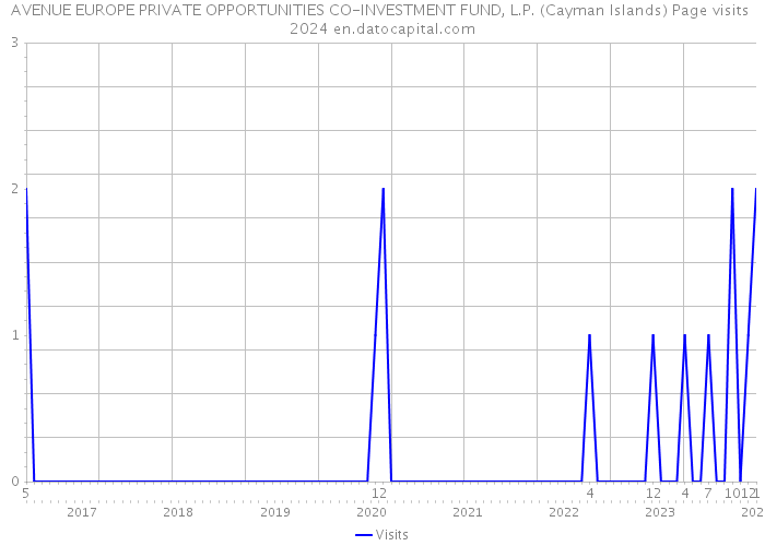 AVENUE EUROPE PRIVATE OPPORTUNITIES CO-INVESTMENT FUND, L.P. (Cayman Islands) Page visits 2024 