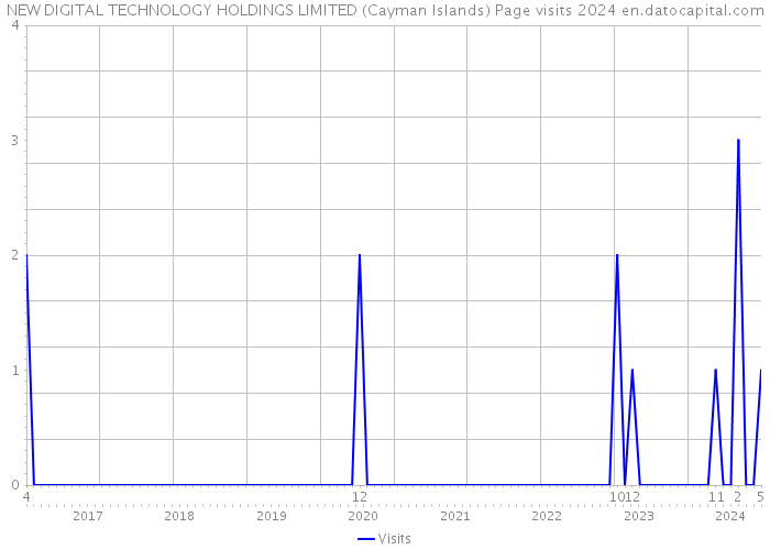 NEW DIGITAL TECHNOLOGY HOLDINGS LIMITED (Cayman Islands) Page visits 2024 
