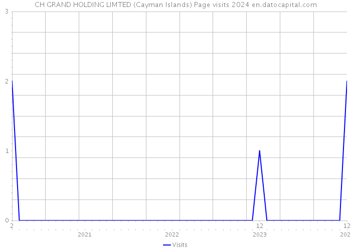 CH GRAND HOLDING LIMTED (Cayman Islands) Page visits 2024 