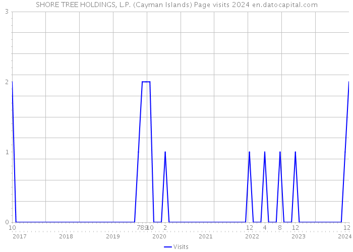 SHORE TREE HOLDINGS, L.P. (Cayman Islands) Page visits 2024 