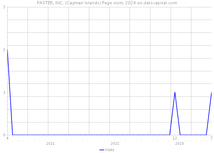 PASTER, INC. (Cayman Islands) Page visits 2024 