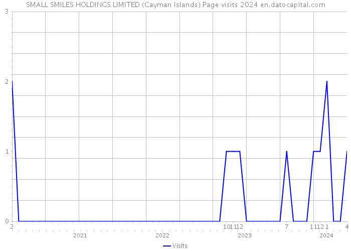 SMALL SMILES HOLDINGS LIMITED (Cayman Islands) Page visits 2024 