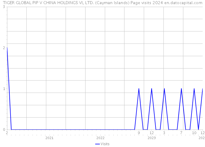 TIGER GLOBAL PIP V CHINA HOLDINGS VI, LTD. (Cayman Islands) Page visits 2024 