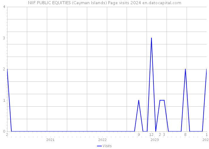 NIIF PUBLIC EQUITIES (Cayman Islands) Page visits 2024 