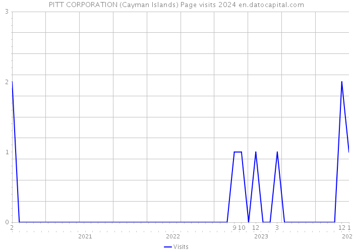 PITT CORPORATION (Cayman Islands) Page visits 2024 