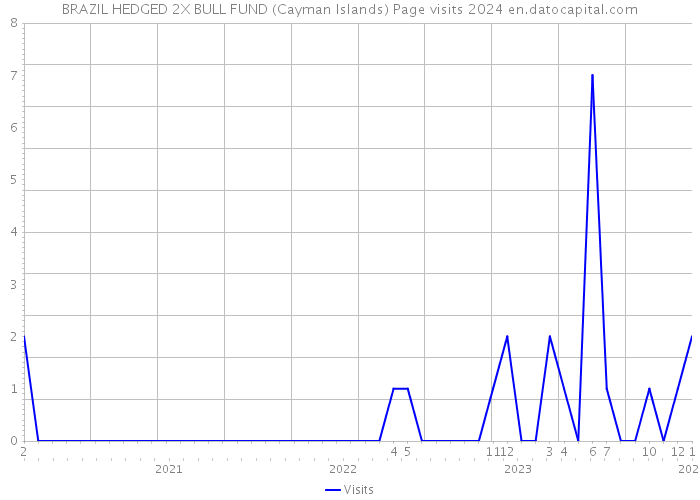 BRAZIL HEDGED 2X BULL FUND (Cayman Islands) Page visits 2024 