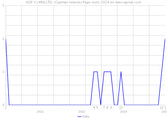 NGP V J MHJ LTD. (Cayman Islands) Page visits 2024 