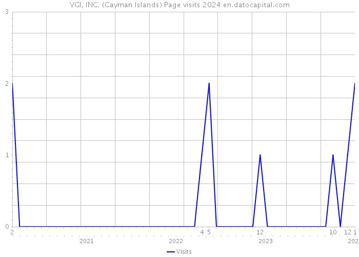 VGI, INC. (Cayman Islands) Page visits 2024 